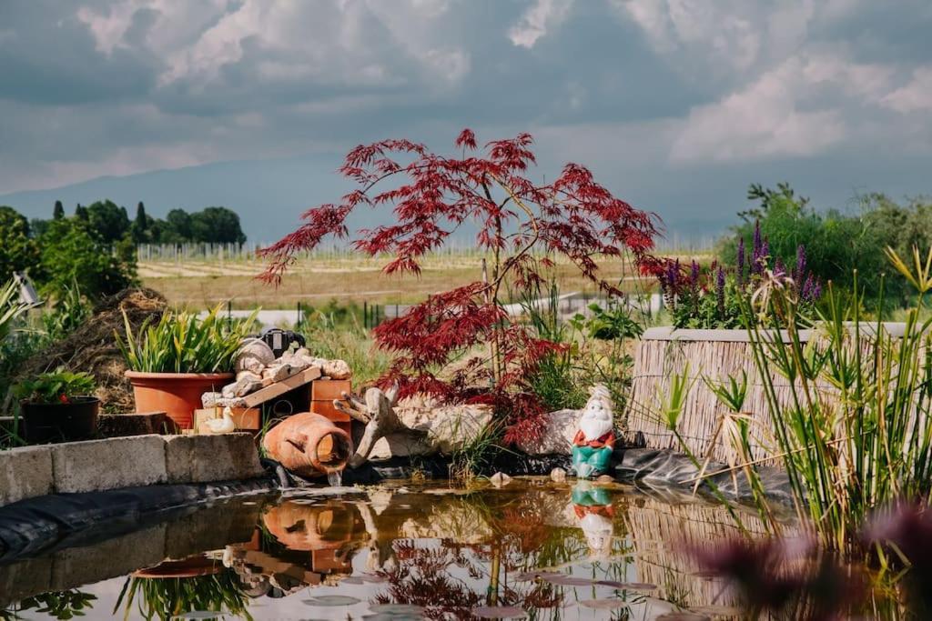 Country Apartment, Near Bardolino And Lazise Calmasino Ngoại thất bức ảnh